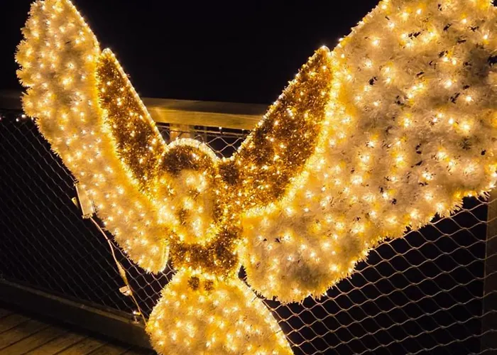 Daire Demelfischer Am